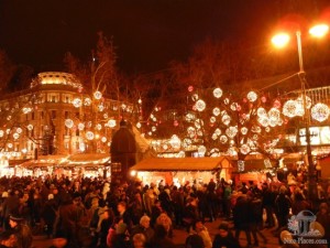 На Рождество в Будапешт — Тропикариум и рождественские ярмарки