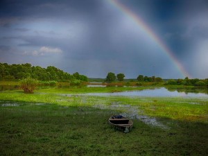 Неизвестная Украина: Мезинский национальный парк
