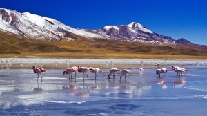Салар де Уюни – природное чудо Боливии