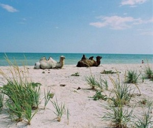 Курорт Кирилловка – аравийские пески на Азовском море