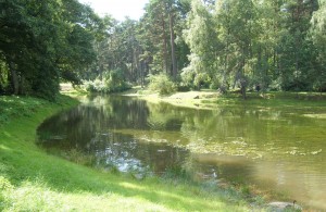 Озеро в ботаническом лесопарке Паланги (Прибалтика)