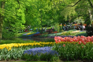 Кейкенкоф это не просто ботанический сад. Это парк. Со своей детской зоной, романтическим прудом и продуманными маршрутами