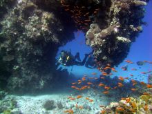 Самые незабываемые впечатления от Хургады - дайвинг в коралловом рифе