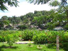 Бунгало (домики) для туристов на побережье острова Phi-Phi