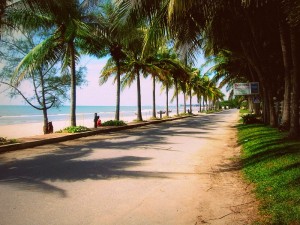 Пальмовая аллея тайского курорта Ча-Ам