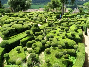 Сад Marqueyssac - вековые самшиты в огранке профессиональных садовников