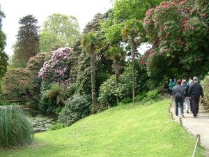 Тропинка, с которой туристы осматривают необычные сады Хелигана