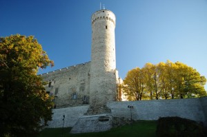 Вышгород. Башня "Длинный Герман", возвышающаяся над замком Тоомпеа