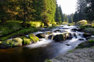 Горная река в национальном парке Шумава (Чехия)
