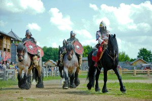 Для любителей лошадей в Княжеской конюшне Древнего Киева собрано больше 20 лучших исторических пород. 