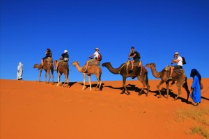 Среди туристов в Марокко очень популярны экскурсии по Сахаре на верблюдах