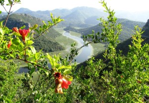 Вид на Скадарское озеро с одного из холмов (Черногория)
