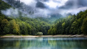 Национальный парк Биоградска гора в тумане (Черногория)