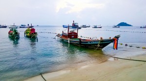 Лодки для туристов на Ко Тао (Тайланд)