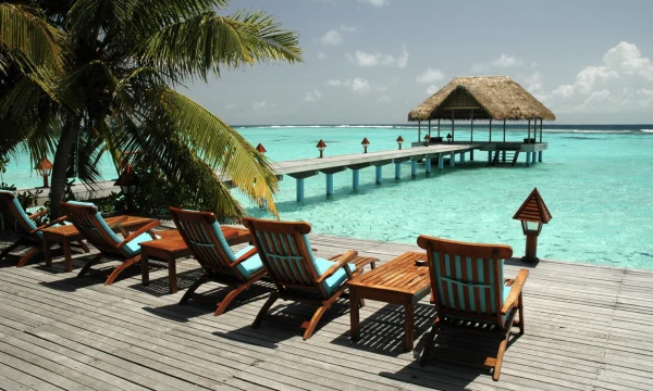 «Продержаться неделю до вылета»: «Аэрофлот» отвезет с Мальдив в Москву за 210 тысяч рублей «Продержаться неделю до вылета»: «Аэрофлот» отвезет с Мальдив в Москву за 210 тысяч рублей