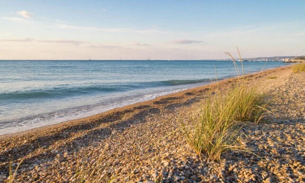 В Анапе из «опасной зоны» исключили восемь пляжей В Анапе из «опасной зоны» исключили восемь пляжей