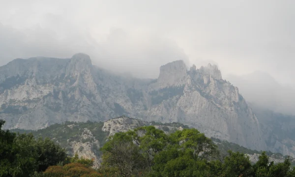 На майские праздники в Ялте раскупили очень дорогие номера На майские праздники в Ялте раскупили очень дорогие номера