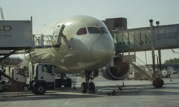 Арабская авиакомпания отменила рейсы в Сочи до июня Арабская авиакомпания отменила рейсы в Сочи до июня