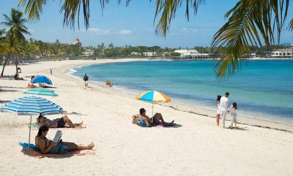 Почему растет число туроператоров по выездному туризму Почему растет число туроператоров по выездному туризму