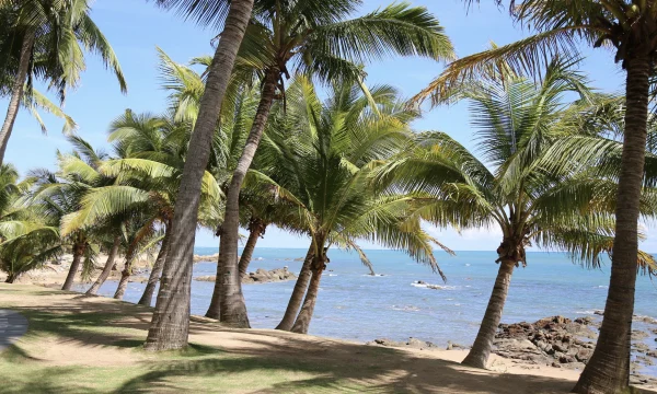 Туристам не подтвердили уже оплаченный номер в отеле Хайнаня Туристам не подтвердили уже оплаченный номер в отеле Хайнаня