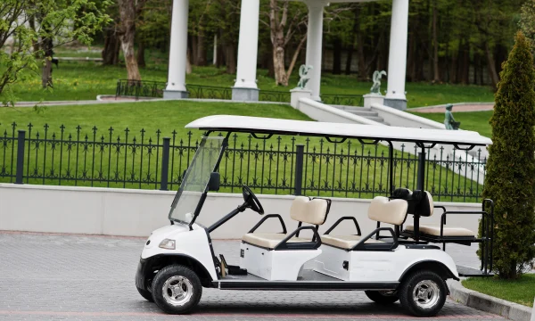 В Ялте подросток перевернул электрокар с туристами В Ялте подросток перевернул электрокар с туристами