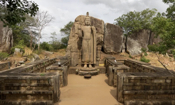 «Мы просто хотим домой»: flydubai на месяц перенесла рейс со Шри-Ланки «Мы просто хотим домой»: flydubai на месяц перенесла рейс со Шри-Ланки