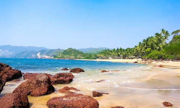 Российским туристам в Гоа не хватает газа Российским туристам в Гоа не хватает газа