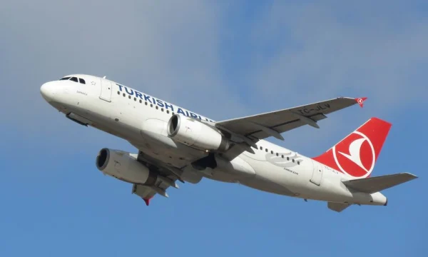 Авиакомпания Turkish Airlines снова не доставила часть багажа во Внуково Авиакомпания Turkish Airlines снова не доставила часть багажа во Внуково