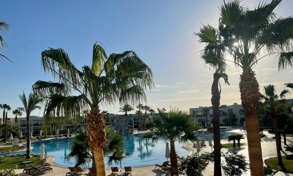 Туристов отвезут в Египет и обратно за 5 тысяч рублей Туристов отвезут в Египет и обратно за 5 тысяч рублей