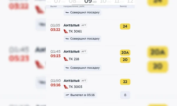 Туристы в ночь на 9 мая улетали в Турцию почти без приключений Туристы в ночь на 9 мая улетали в Турцию почти без приключений