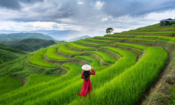 Власти Вьетнама попросили застрявших туристов продлить срок пребывания Власти Вьетнама попросили застрявших туристов продлить срок пребывания