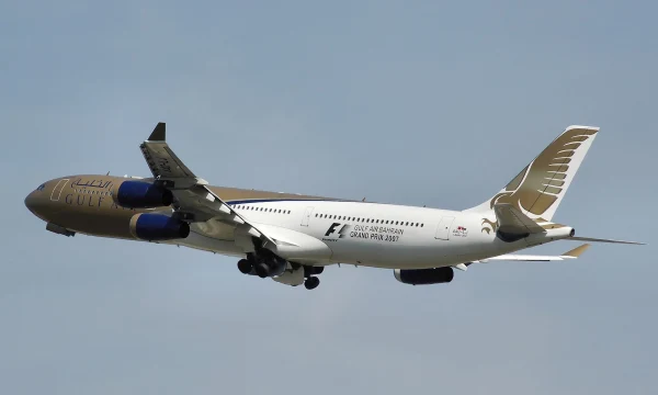 Из-за поздних возвратов Gulf Air туристы втридорога платят за новые билеты Из-за поздних возвратов Gulf Air туристы втридорога платят за новые билеты