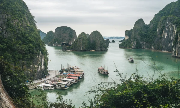 Россия рассматривает упрощение въезда для туристов из Вьетнама Россия рассматривает упрощение въезда для туристов из Вьетнама