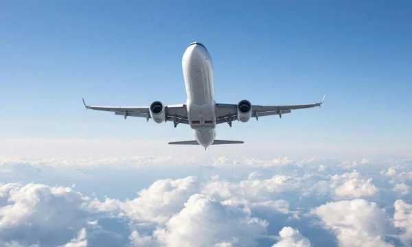 Ространснадзор начал проверку авиакомпании AZUR air Ространснадзор начал проверку авиакомпании AZUR air