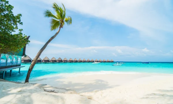 Туристы удивляются: отдых в Анапе дороже Мальдив Туристы удивляются: отдых в Анапе дороже Мальдив