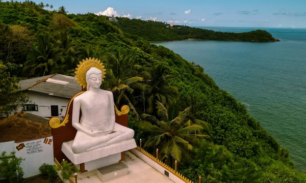 Альтернативы прямым рейсам «Аэрофлота» на Шри-Ланку: получится ли дешевле? Альтернативы прямым рейсам «Аэрофлота» на Шри-Ланку: получится ли дешевле?