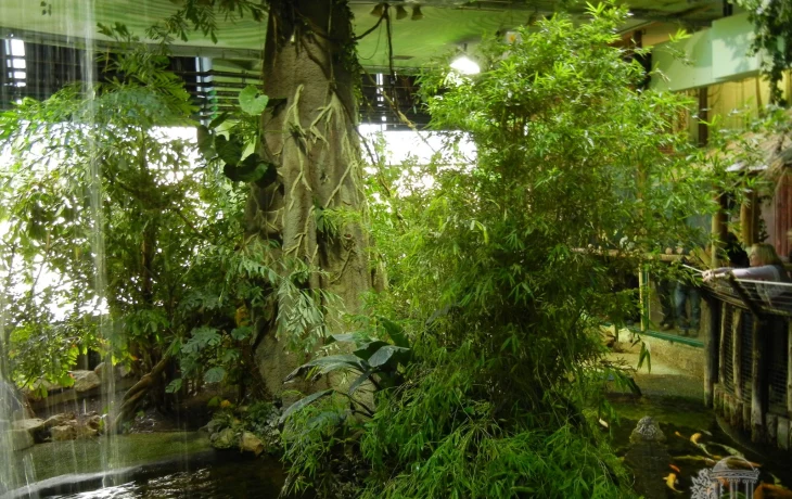 Будапешт - Тропикариум Океанариум с картой Будапешт - Тропикариум Океанариум с картой