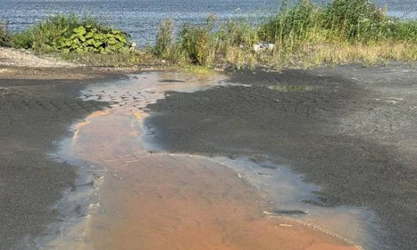 Клязьминское водохранилище под угрозой: результаты анализа воды пугают экологов и жителей района Клязьминское водохранилище под угрозой: результаты анализа воды пугают экологов и жителей района