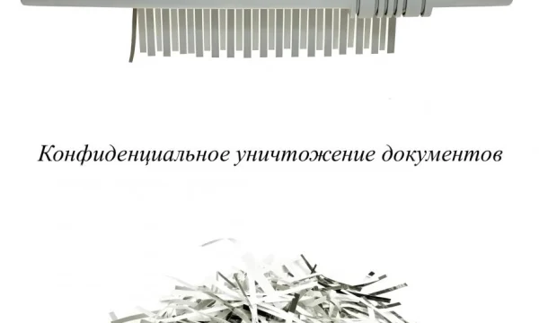 Оплата макулатуры и видеоотчет: «ЮВ-Трейд» проводит уничтожение архивных документов в Москве Оплата макулатуры и видеоотчет: «ЮВ-Трейд» проводит уничтожение архивных документов в Москве